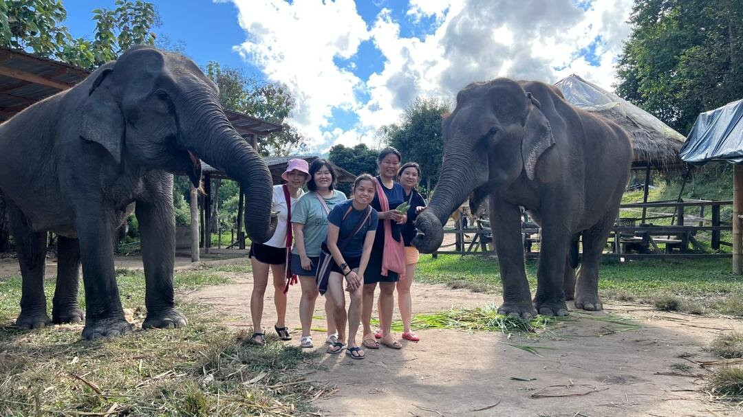 Karen Tribe Native Elephant-清迈必去景点