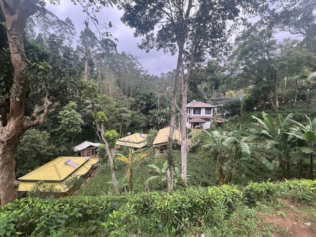 Train View Chalet主图