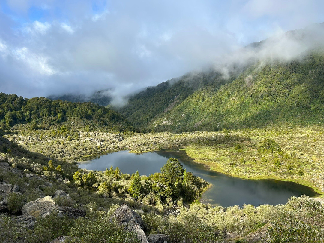 The Old Ghost Road-韦斯特波特必去景点