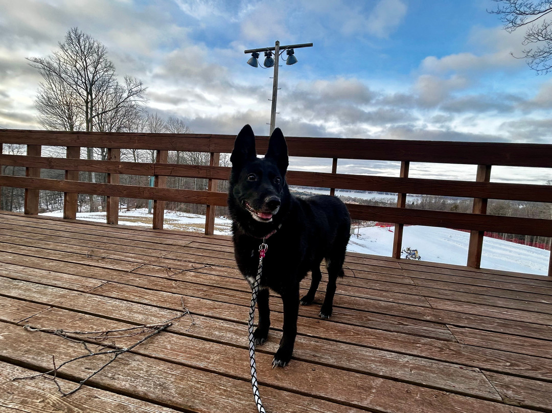 Shanty Creek Resort-Bellaire必去景点