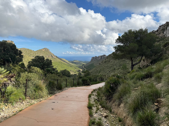 Parc Natural de la Península de Llevant-Arta必去景点