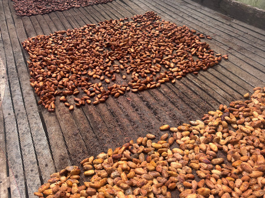 Bohol Chocolate Farm-Sagbayan必去景点