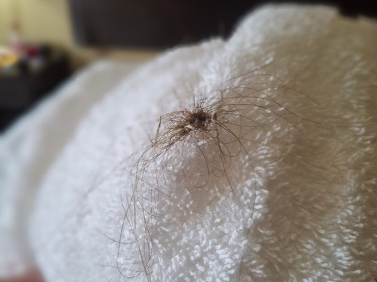 Best Western New Albany主图