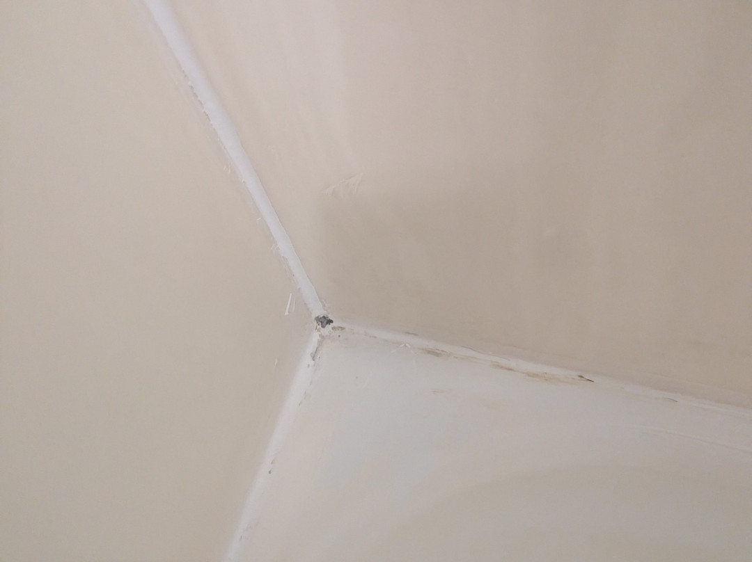 Red Roof Inn Detroit - Royal Oak/ Madison Heights主图