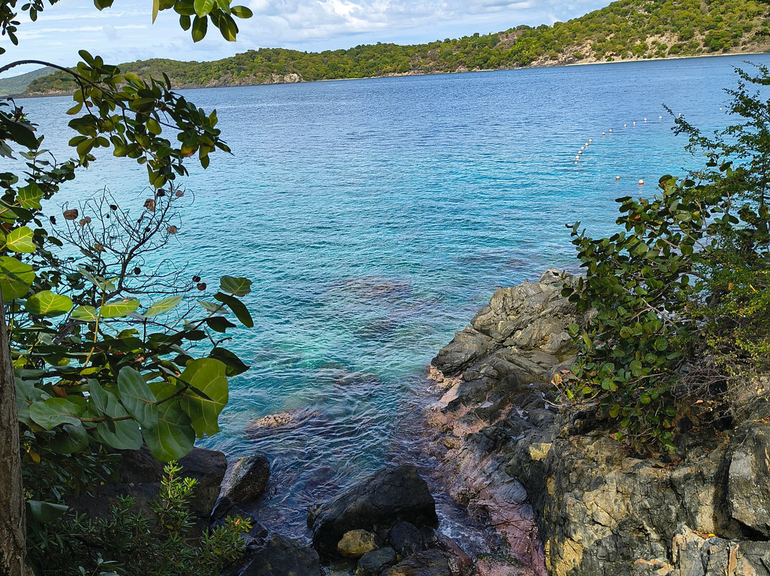 CWORI Dive Center-Smith Bay必去景点