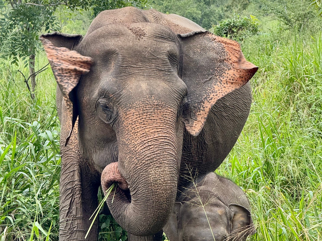 Around Pearl Tours-唐卡拉必去景点