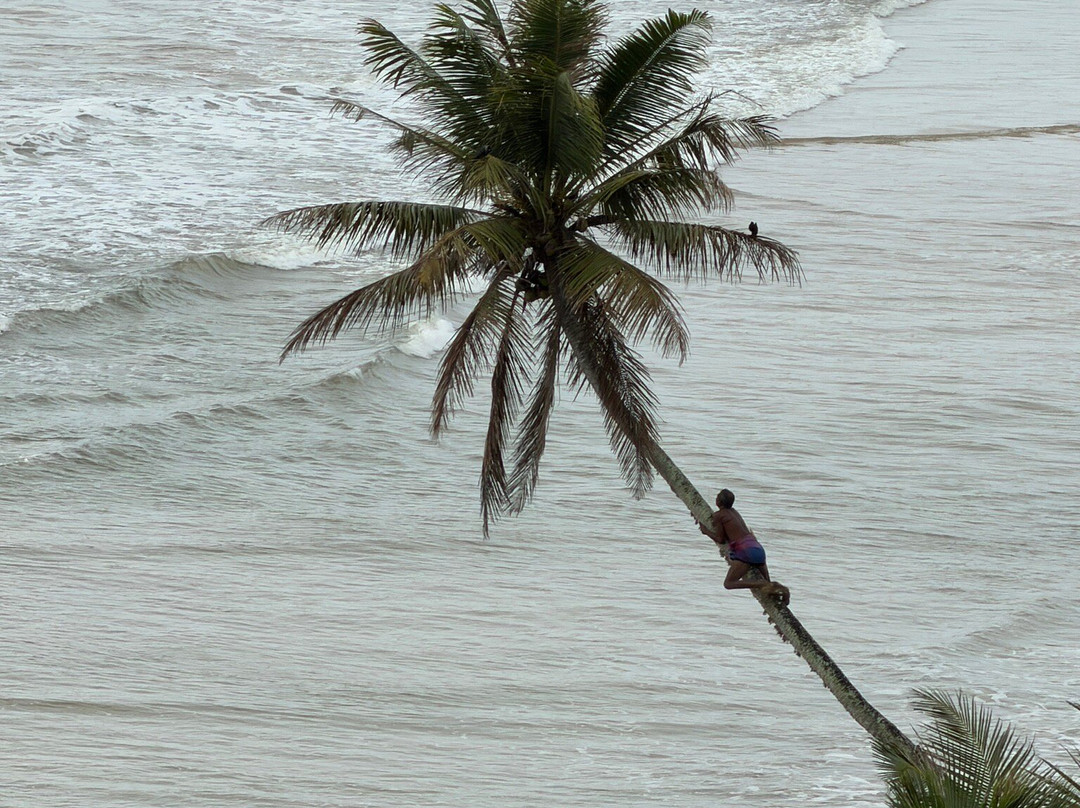 D.S Tours Day Tours-尼甘布必去景点