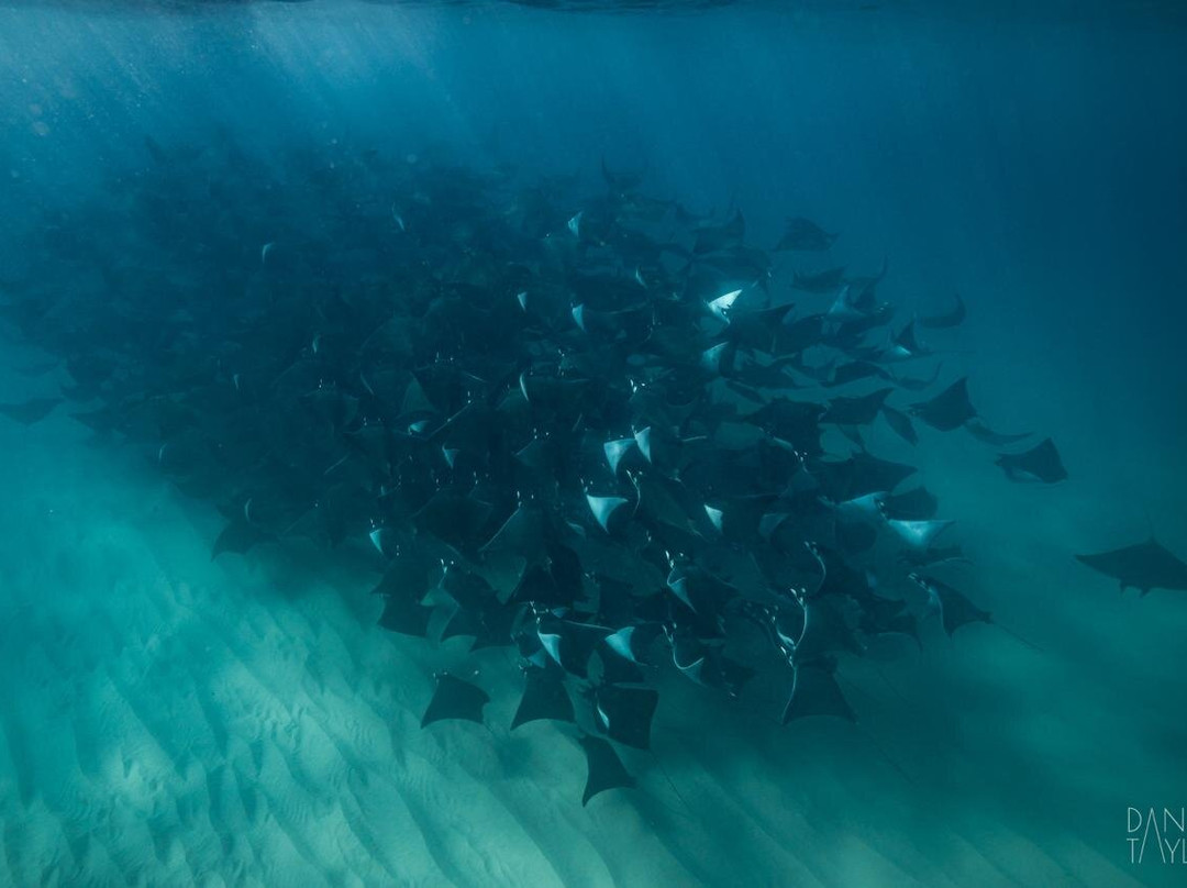 Uncharted Expeditions-圣何塞卡波必去景点