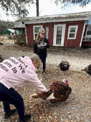 Rooterville Animal Sanctuary-Melrose必去景点