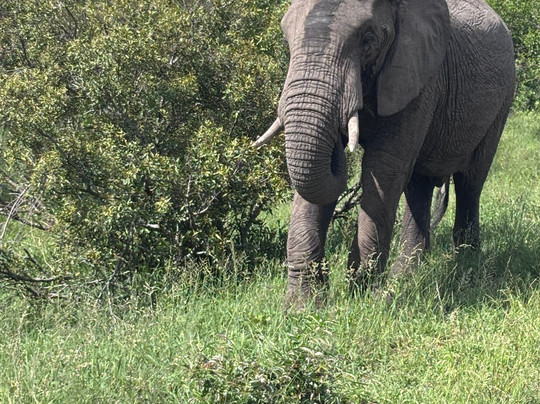Bush Xplorers-雾观必去景点