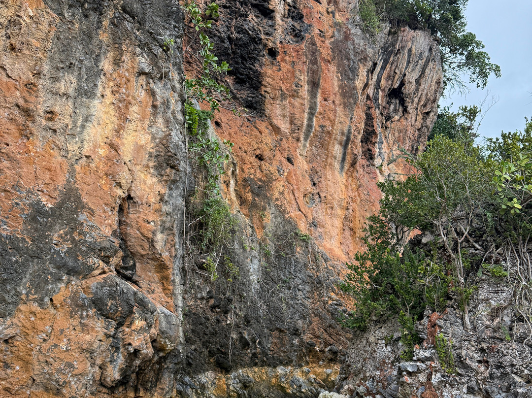Playa El Valle-Santa Barbara de Samana必去景点