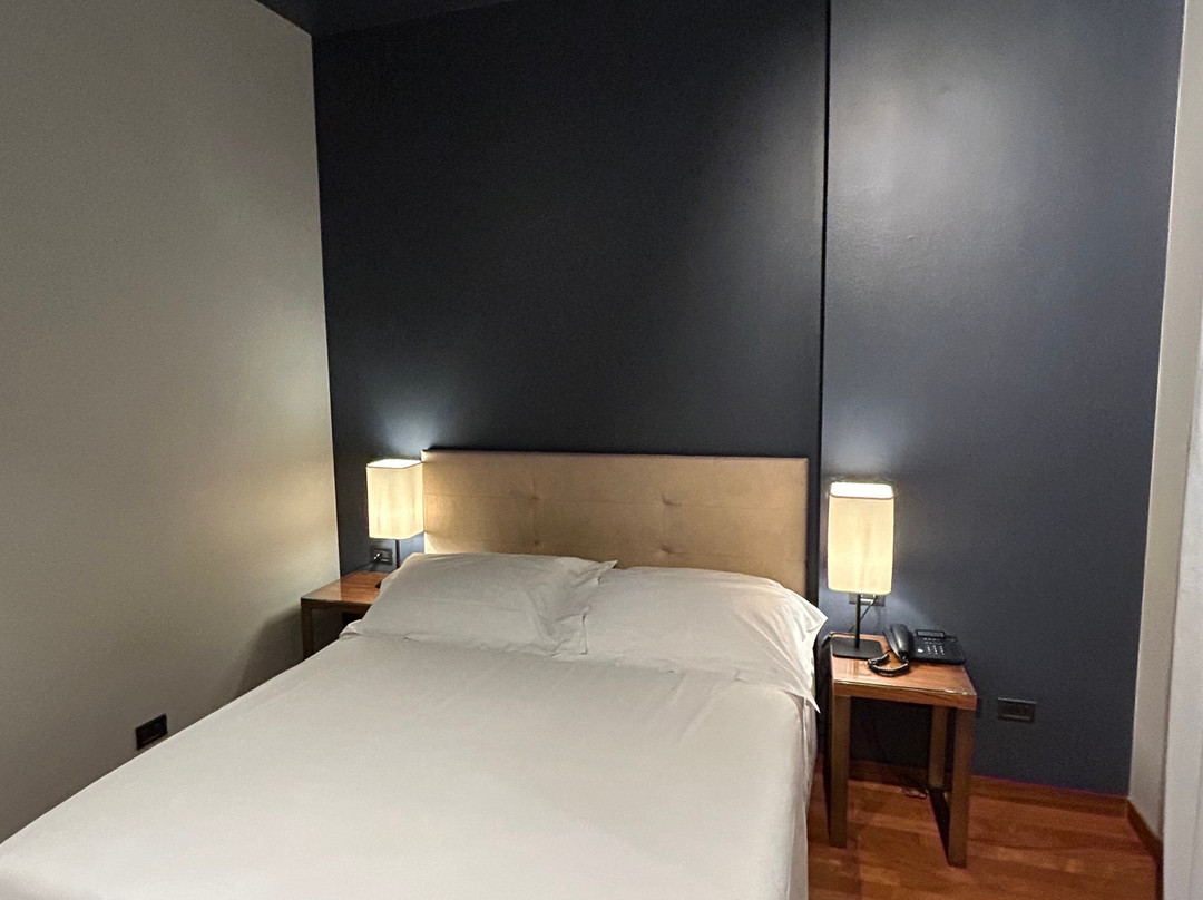 The Regent Boutique Hotel & Spa主图