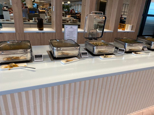 The View Lounge - Brussels Airport-扎文腾必去景点