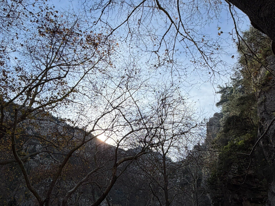 Kryas Livadeia Springs-Livadia必去景点