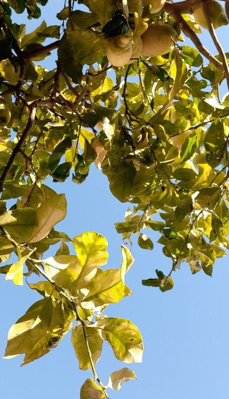 Borgo Medievale di Castellabate-Castellabate必去景点