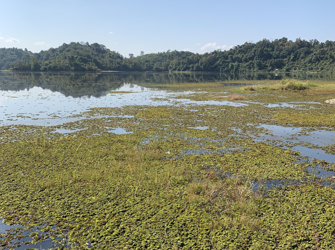 Elephant Conservation Center-Sayaboury必去景点
