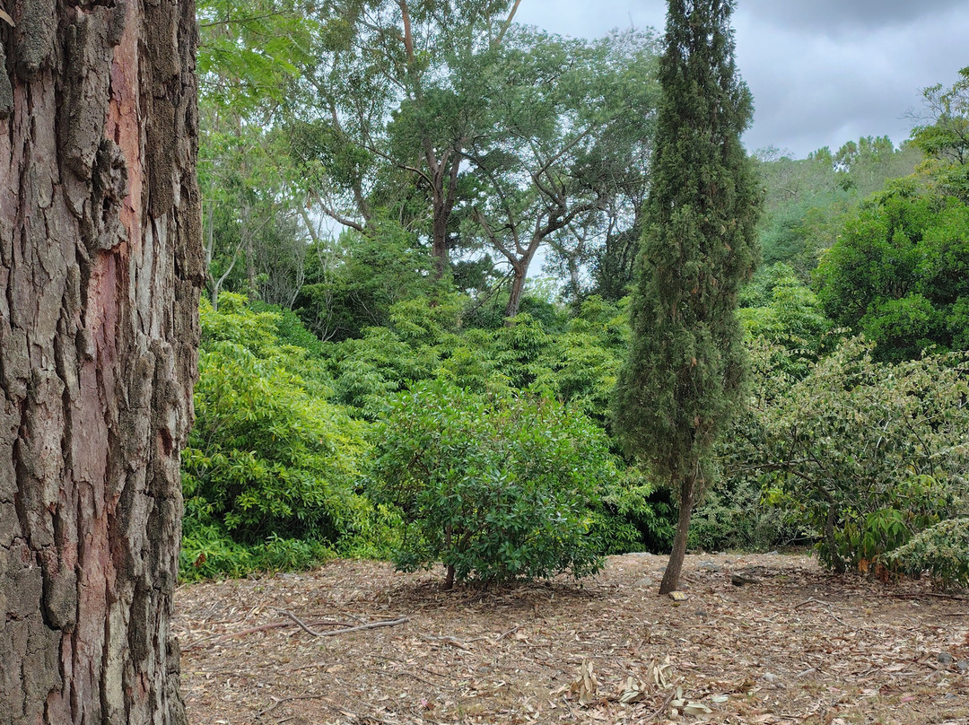 Arboretum Lussich-埃斯特角城必去景点