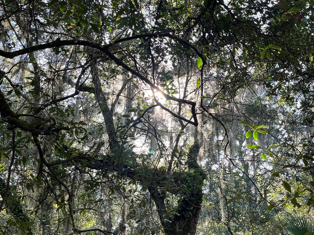Anastasia State Park-圣奥古斯丁必去景点