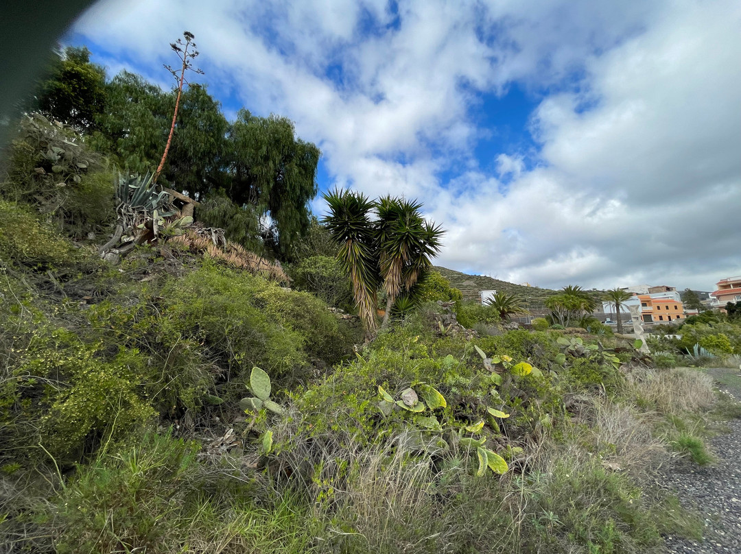 Kulturpark Mariposa-阿罗纳必去景点