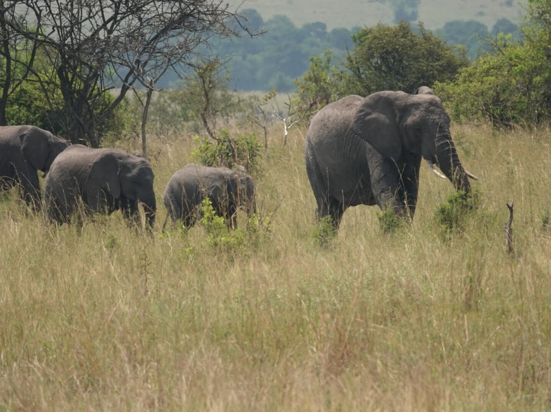 Caracal Tours & Safaris-莫西必去景点