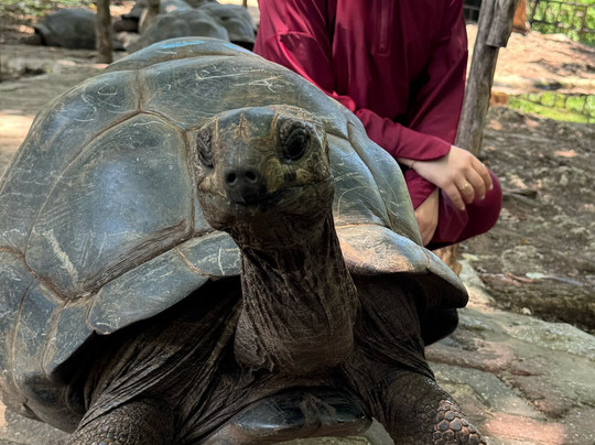 Salum Travel-Mikumi必去景点