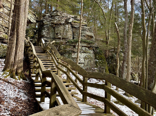 Beartown State Park-Marlinton必去景点