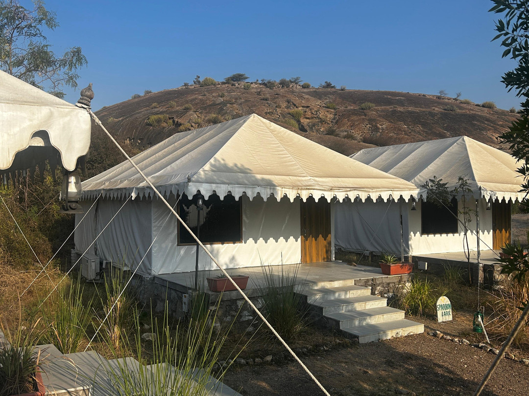 Clarks Safari Jawai主图