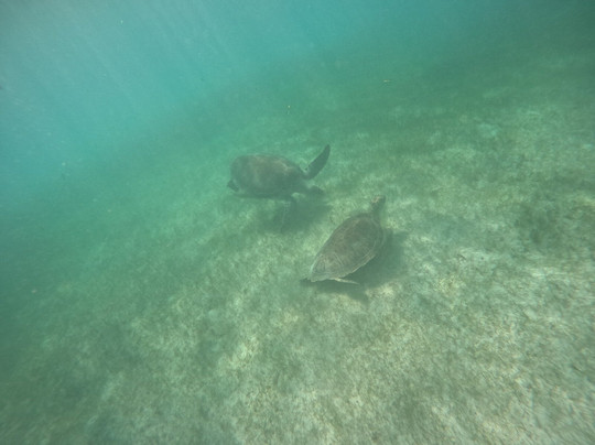 Shamanic Dusk Tulum-Tulum Beach必去景点