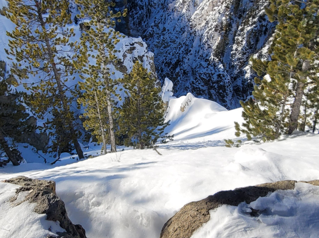 Two Top Snowmobile Rentals and Tours-西黄石镇必去景点