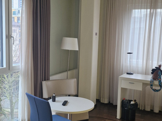 国旗苏黎世酒店主图