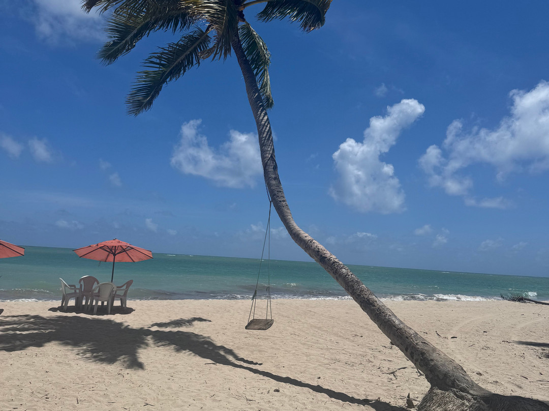 Dream Tours-嘎林海斯港必去景点