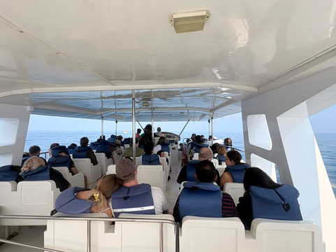 Kumara and Whales-美蕊沙必去景点