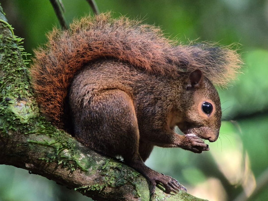 Picolina Tours-德雷克湾必去景点