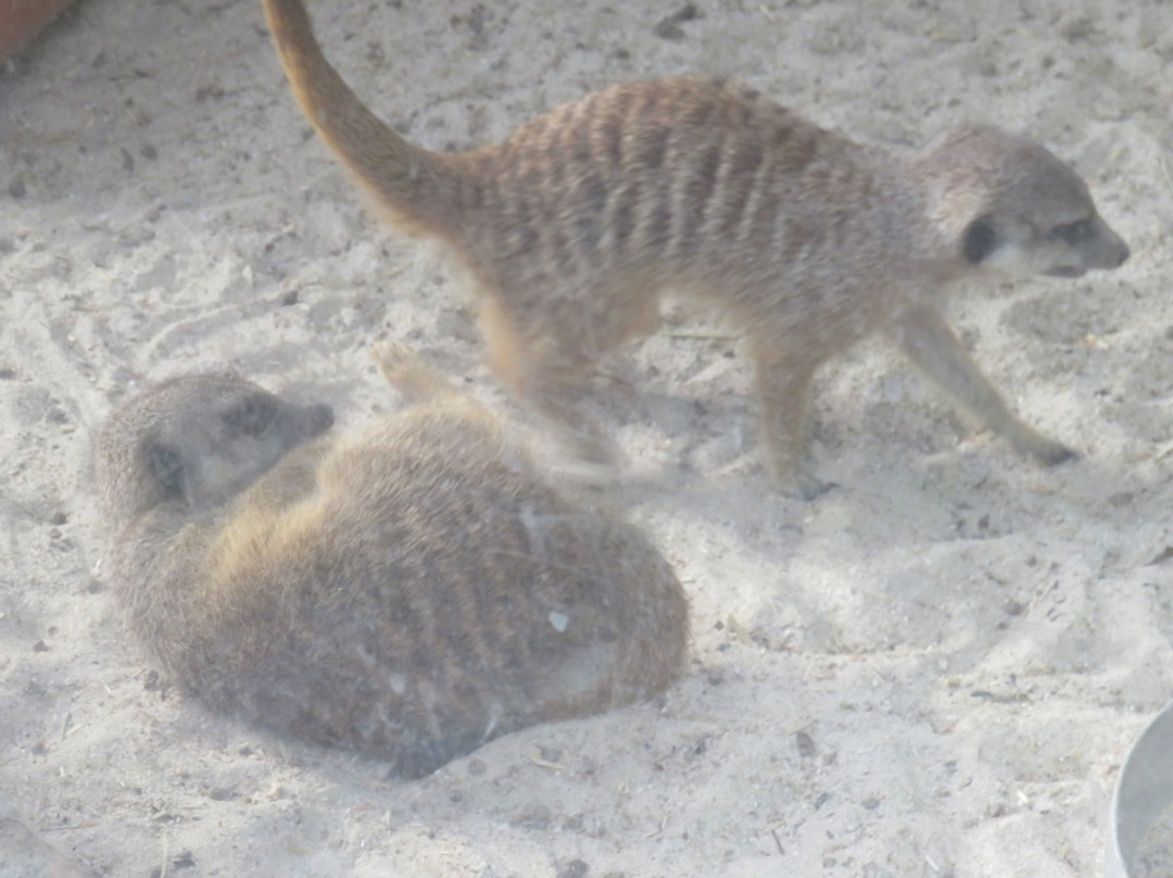 Zoo Ljubljana-卢布尔雅那必去景点
