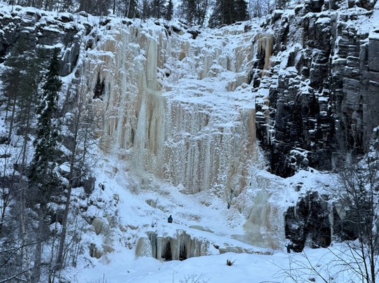 Wilderness Hotel Kirikeskus主图