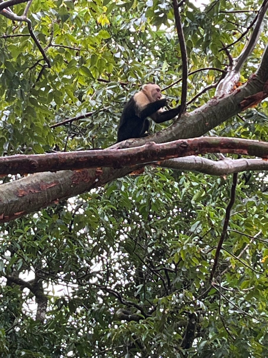特诺里奥旅舍-浴室