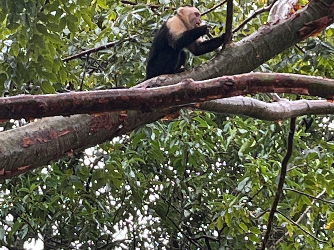 特诺里奥旅舍主图