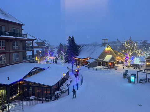 Village Suites by Blue Mountain Resort主图