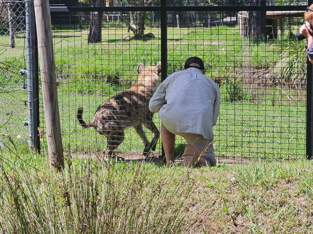 Mogo Wildlife Park-Mogo必去景点