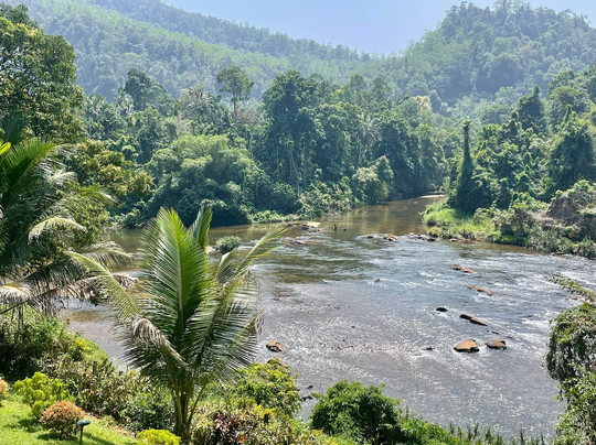 Uragala酒店住宿-Kithulgala Rest House