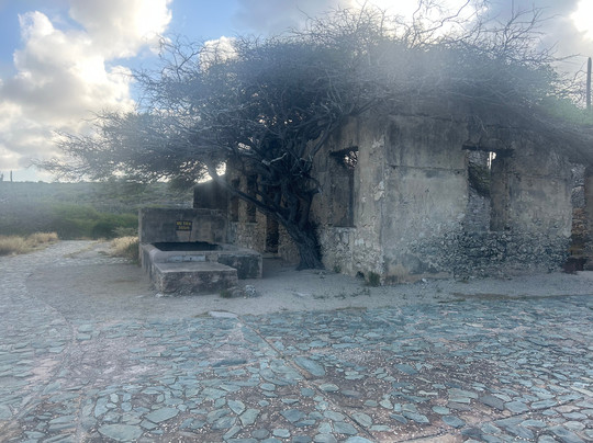 Balashi Gold Mill Ruins-奥腊涅斯塔德必去景点