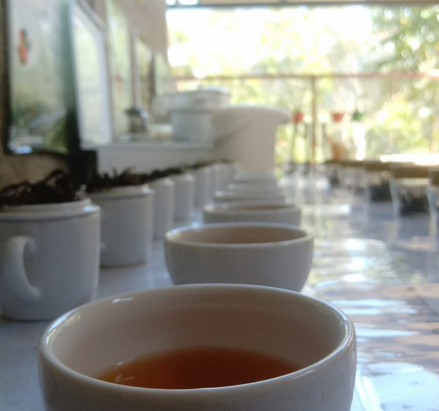 Green Ella Tea Lounge-埃勒必去景点