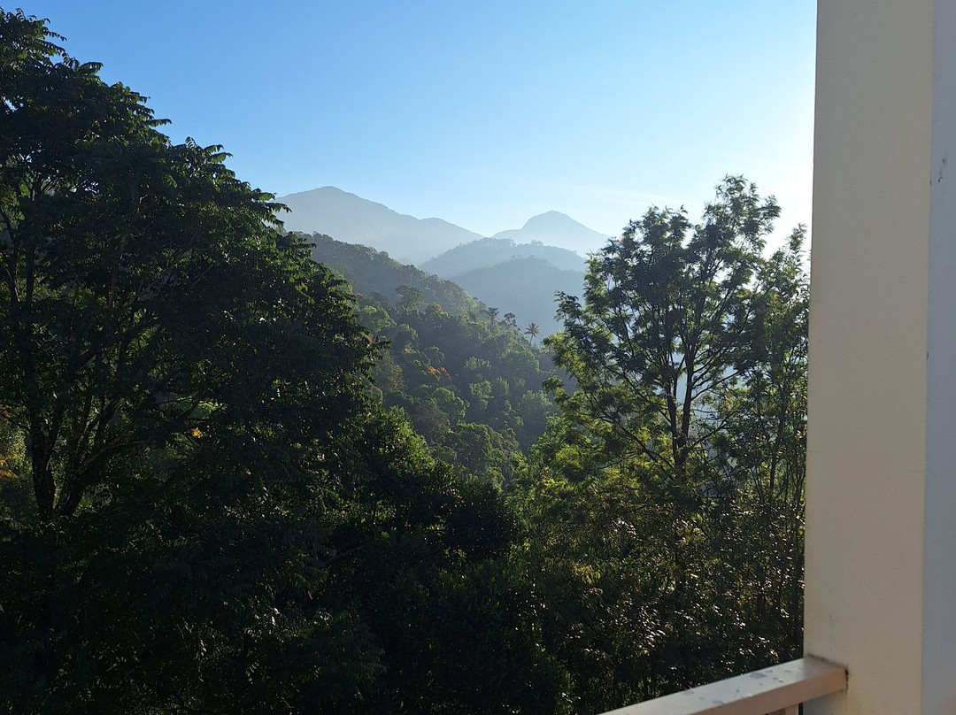 采茶机酒店主图