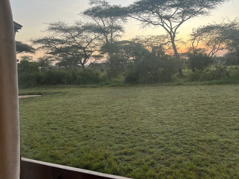 瑟洛尼拉野生旅馆主图