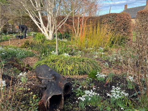 East Lambrook Manor Gardens-South Petherton必去景点