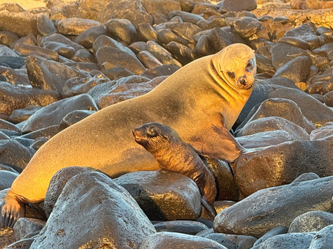 Surtrek-基多必去景点
