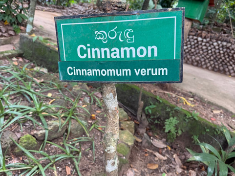 Ranweli Spice Garden-Matale必去景点