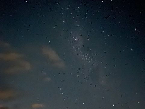 Social Nature Movement (SNM)-奥克兰中心地区必去景点