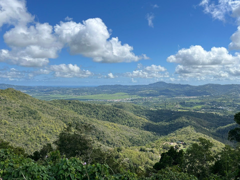 BUGGY Quad Martinique-Le Diamant必去景点