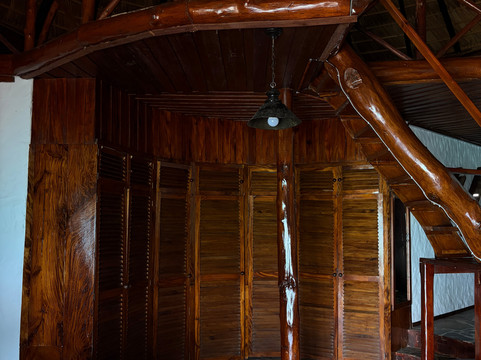 Chauve Souris Relais主图